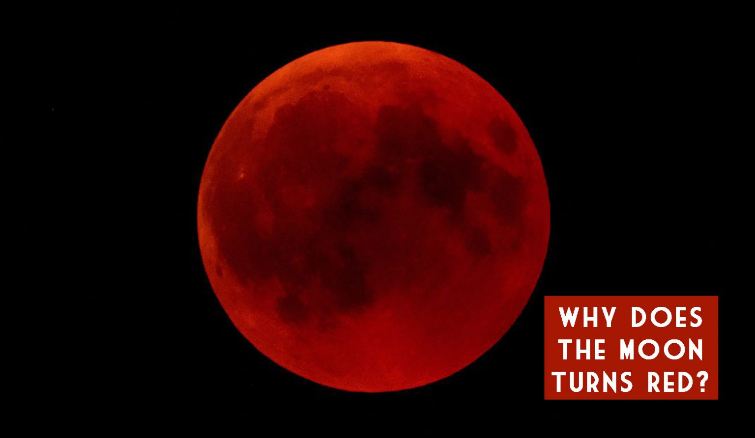 Whats a blood moon & what does it means? Singapore Foodie King